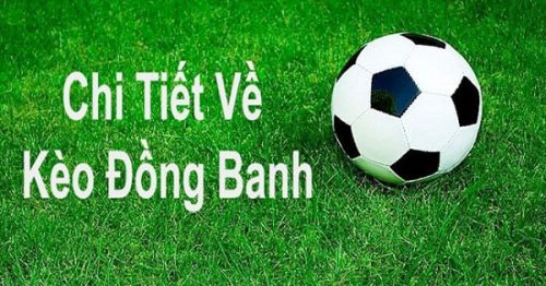 Kèo đồng banh là gì? Hướng dẫn đặt kèo đồng banh đơn giản