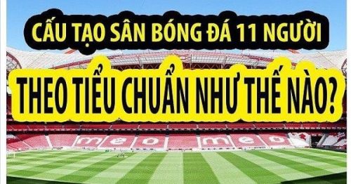 Kích thước sân bóng đá 11 người theo chuẩn FIFA năm 2022