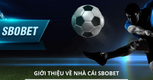 Sbobet Mobile – Cách cài đặt Sbobet Mobile nhanh nhất 2022