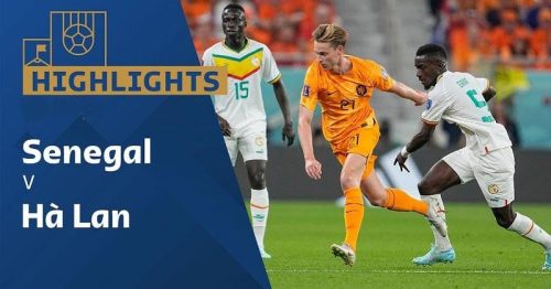 Highlights trận Senegal vs Hà Lan 17h00 ngày 21/11/2022 – World Cup