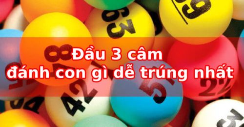 Đầu 3 câm hôm sau đánh con gì, chơi lô nào gặp may mắn