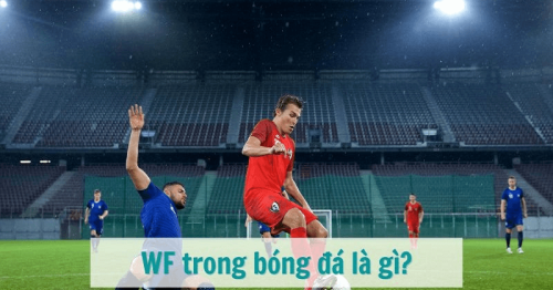 WF trong bóng đá là gì? Vai trò, nhiệm vụ của tiền đạo cánh