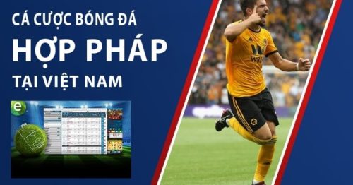 Tìm hiểu luật cá độ bóng đá ở Việt Nam hiện nay