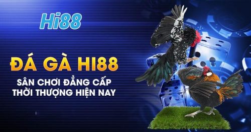 Chơi đá gà Hi88 – Nhận ngay tiền thưởng