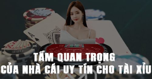 Tầm quan trọng của việc chọn nhà cái uy tín cho tài xỉu