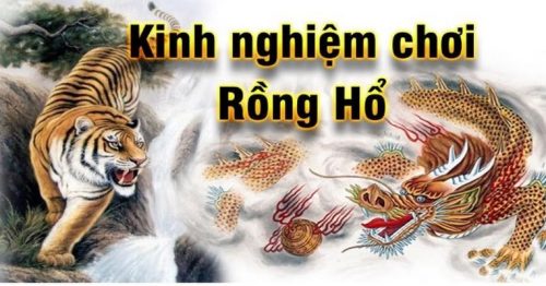 Rồng Hổ SHBET Là Gì? Bốn Chiến Thuật Chơi Rồng Hổ Hiệu Quả