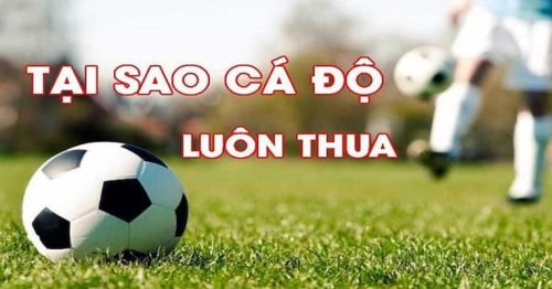 Tại sao cá độ bóng đá luôn thua_Nguyên nhân, cách khắc phục