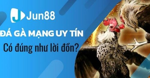 Đá Gà Jun88 Và Những Ưu Điểm Tuyệt Vời Bạn Nên Chơi