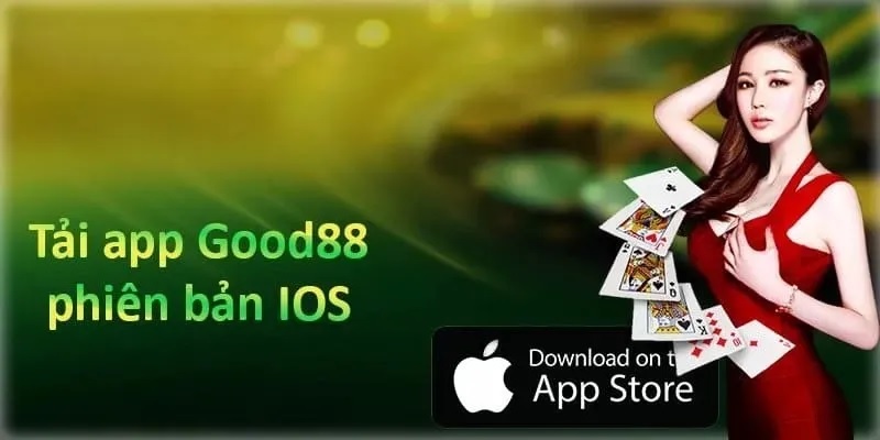  Tải app Gold88 với dung lượng nhẹ, tốc độ nhanh như chớp.